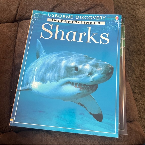 Usborne Discovery Sharks Book - Picture 3 of 3